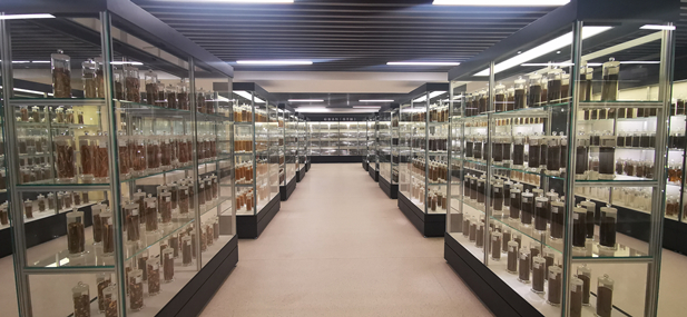 1709100491486073874.jpg 微信圖片_20240228135417.jpg