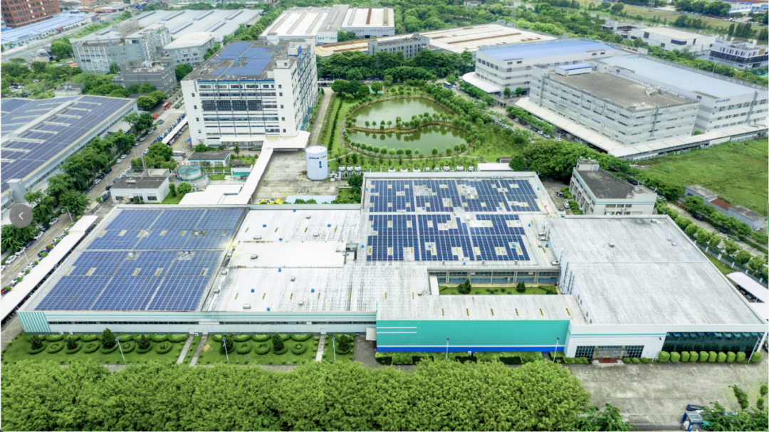 1766455455269058259.png 6.png